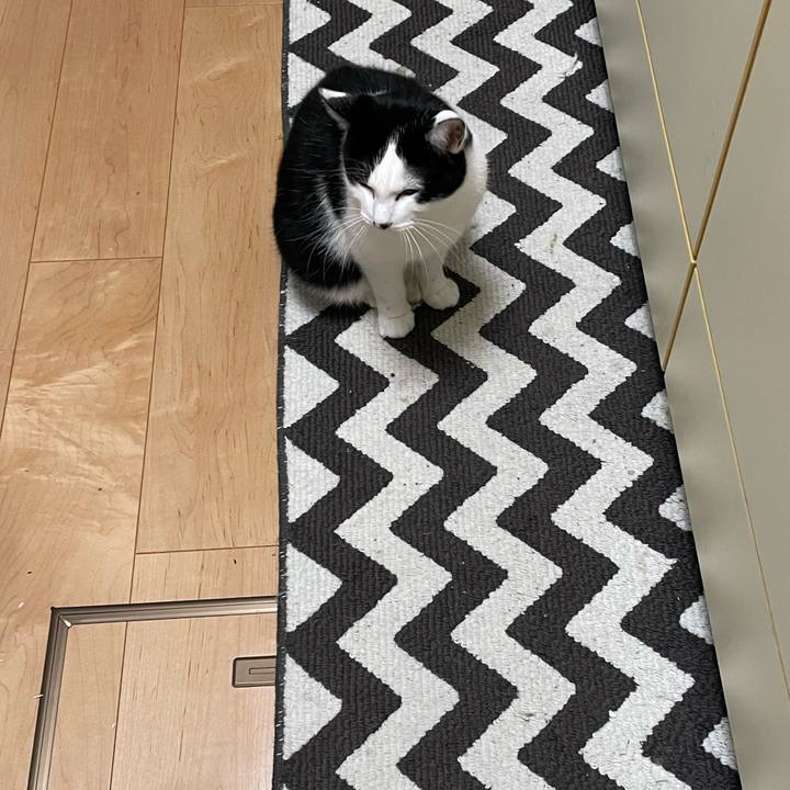 Ebb81772 cc7d 403b 9441 24203e1f1581 1668872237278