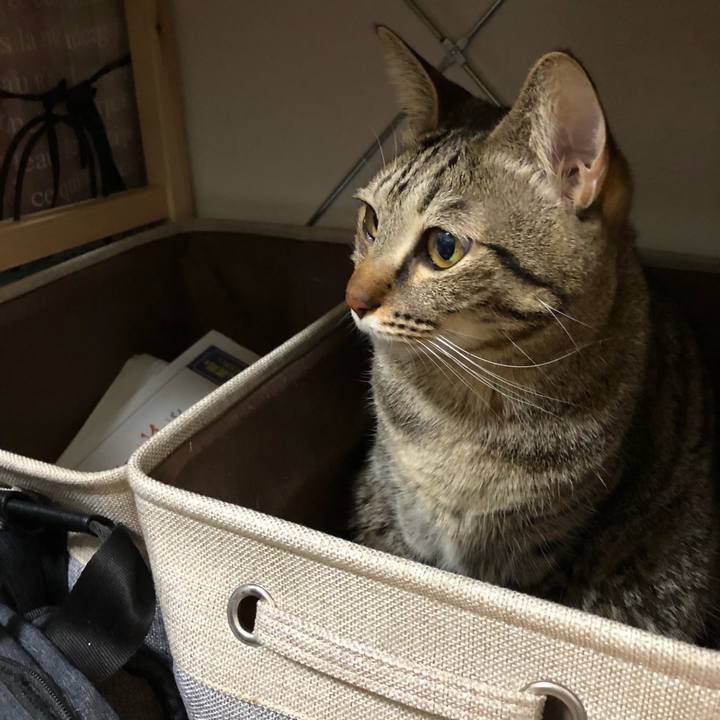 Ebb8573c c0a6 4c7b a4d7 15647b915d39 1515900293020