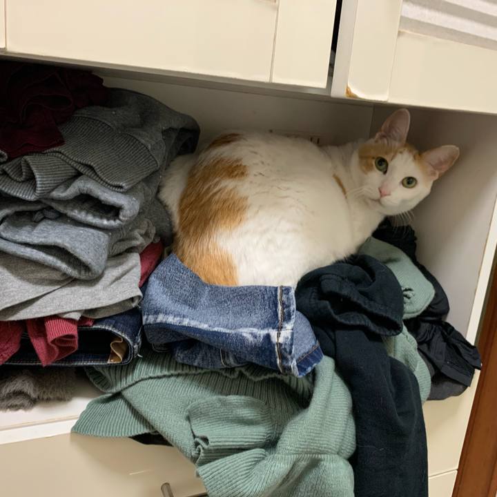 Ebb863a9 9d8d 440b 9057 2582e644207e 1614597022681