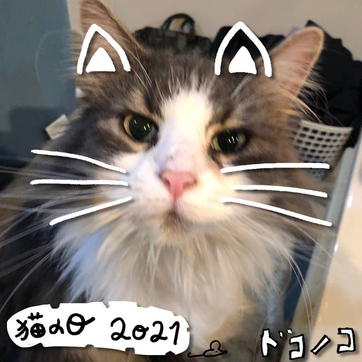 Ebb86b8a ee01 4ae3 827f ef9ecbea585f 1613994853127