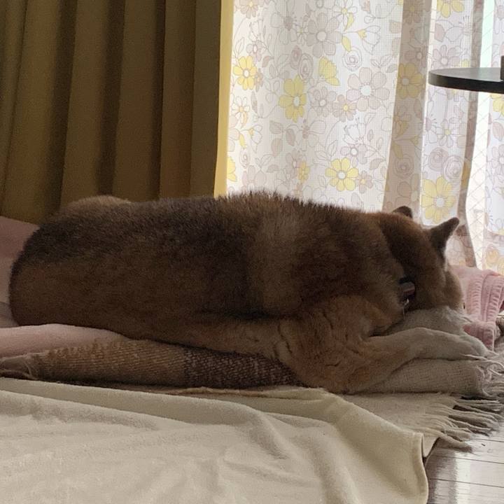 Ebb894e4 5098 42e9 bb01 079e966069a0 1684044420024