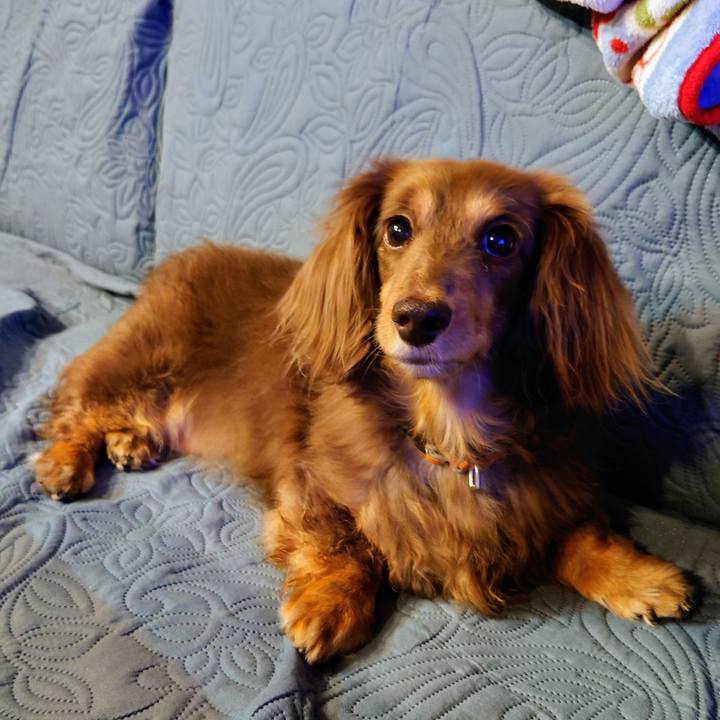 Ebb8a28c 96a7 49a7 85c9 9500a7dbb917 1719488318939