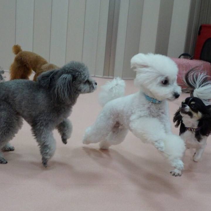 Ebb8c520 8d2b 49ef a6ae 2cd06e25a8a3 1519201518492