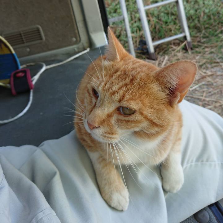 Ebb90c31 5a58 47ce 8eae d63d91347ef3 1592642533698