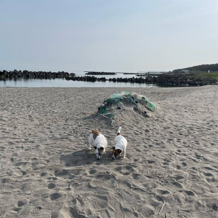 Ebb90d16 c1b1 4e18 be7e 0969673be56b 1747285134167