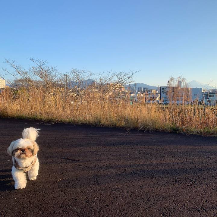 Ebb926d0 c491 4e6f 9d48 b62379786862 1648206674083