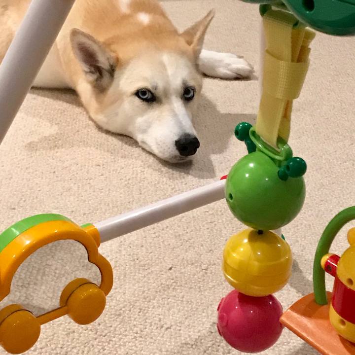 Ebb931b4 437e 43fa 918f 1b8dc93ba873 1537948521037