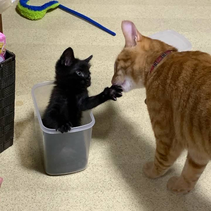 Ebb969f1 07b3 4499 bfb6 7d23bcc0a351 1594460804685