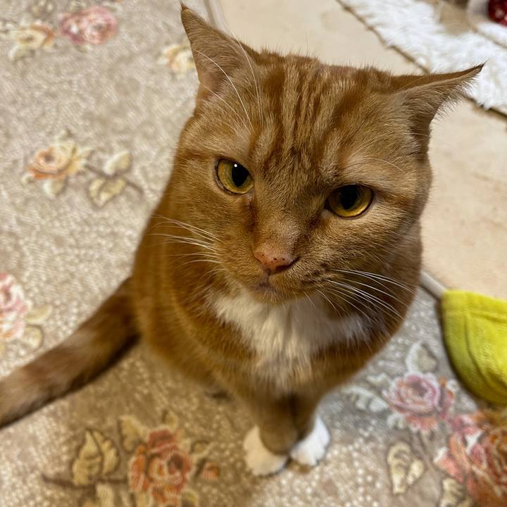 Ebb98610 23aa 47c4 8684 203d367eb266 1637415621097