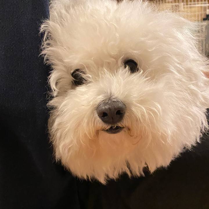 Ebb99ab5 28c0 4c4c b7c7 511a5e6b1007 1670067684741