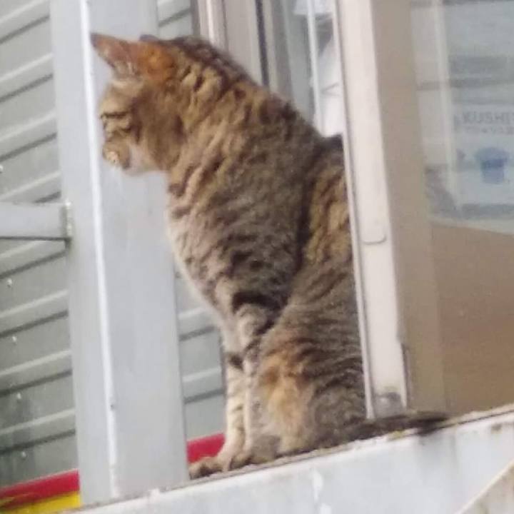 Ebb9a4a8 92d6 479c 9893 9a0a8c3759da 1653038073844