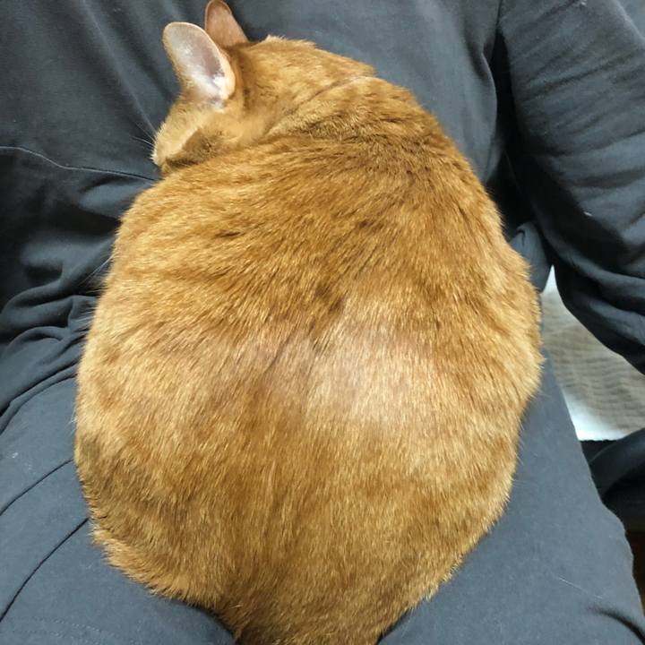 Ebb9c7f9 ed9a 4616 bdc2 97128dcb8018 1644662385533