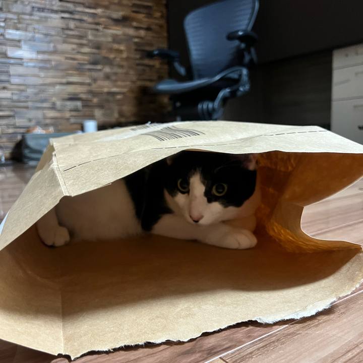 Ebb9db32 fa83 4229 889a e8f76115a796 1697551698531