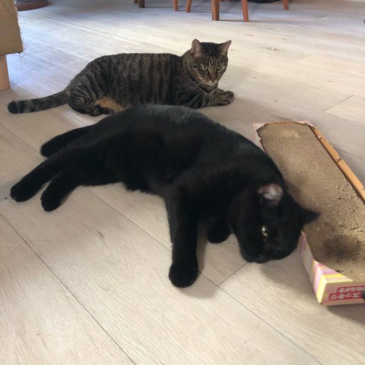 Ebba1b4e ff3b 4d77 9203 8d8ee4323b03 1537340947698