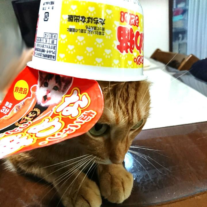 Ebba2034 024d 41a7 82a2 a3af0322e540 1544355746929