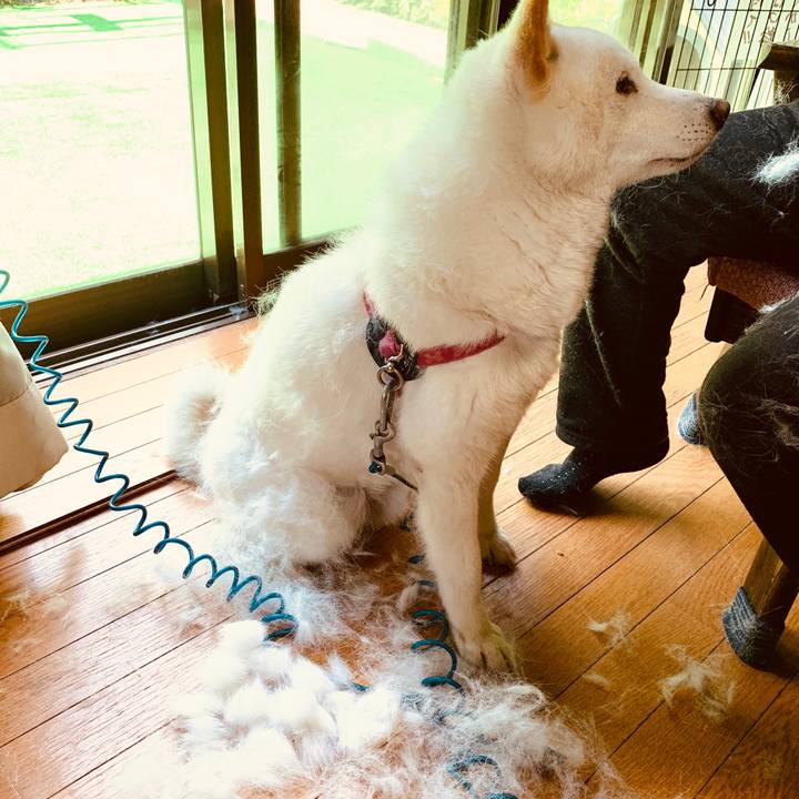 Ebba22db 9134 45e1 9634 7f5469eefe4a 1590295896971