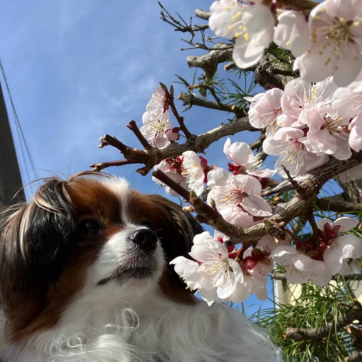 Ebba40f4 9283 462a b51c 211a8ed5213a 1745286443131