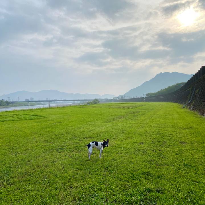 Ebba5a13 29b1 4f4b a028 a065adea2950 1596930797318