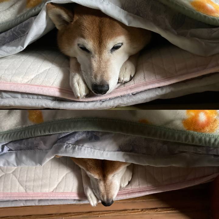 Ebba8be9 5308 40d7 be79 6e8641f83f25 1703640007427