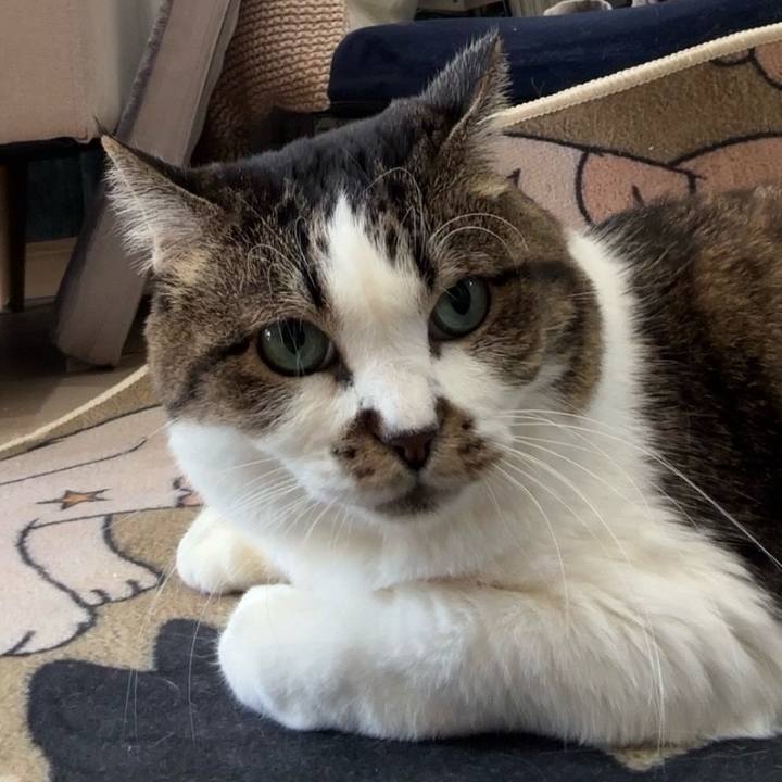 Ebba9a97 a784 413e a410 3a997836dc04 1766619105394