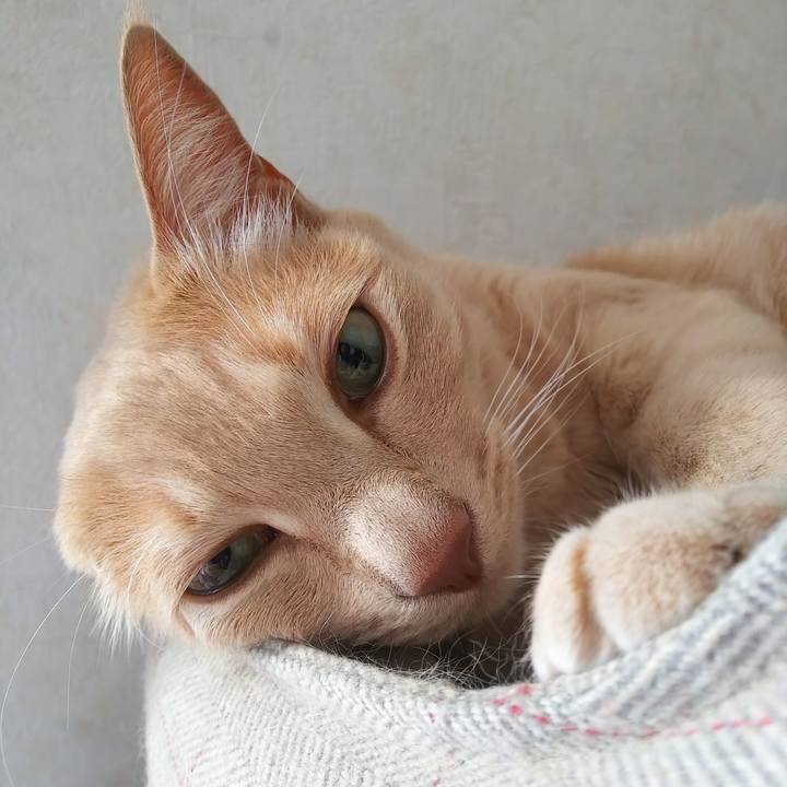 Ebbaa629 847f 458a a561 5e2eabb96dfd 1642295943057