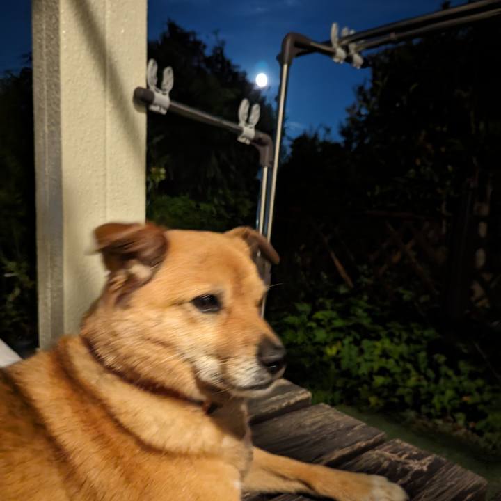 Ebbab56d 877c 4943 8539 3368b90fc206 1690977773337