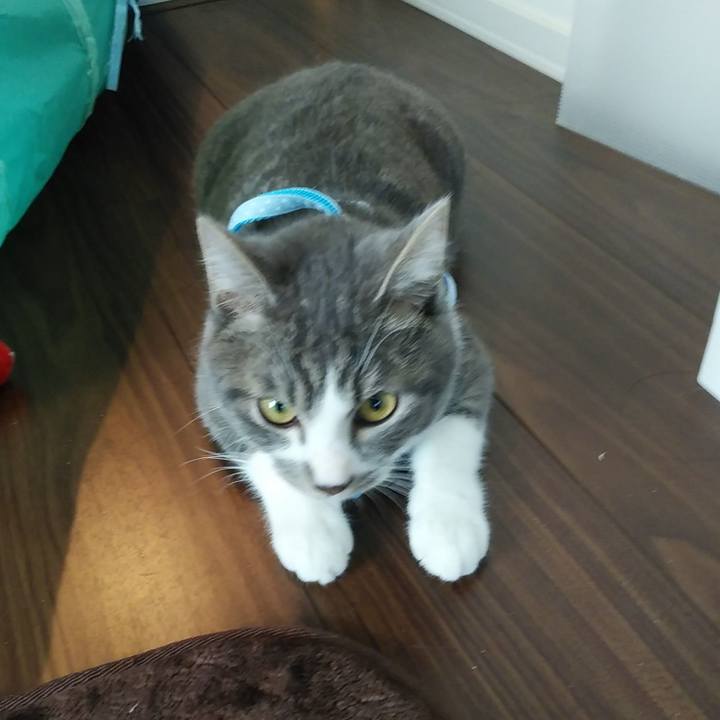 Ebbaf210 0894 4f69 9af5 54e0ec83c8ab 1575523157161