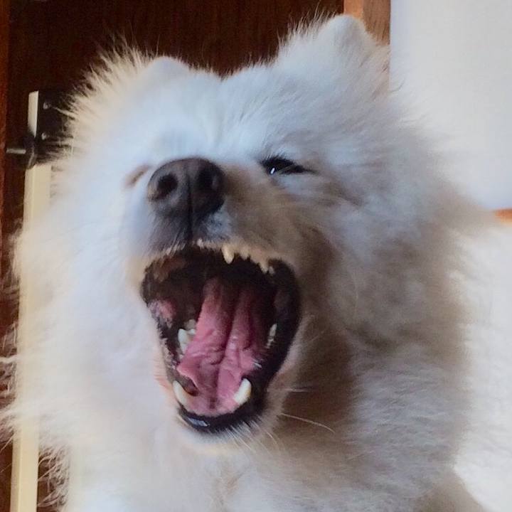 Ebbb03ed 2359 4a39 a79f 682183bd216b 1547375014461