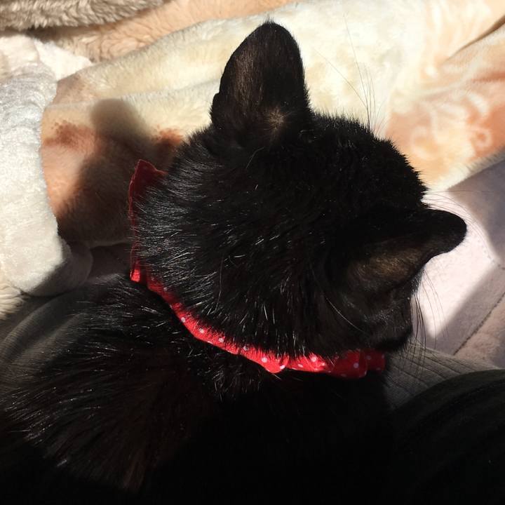 Ebbb5511 ead0 4db9 a0bd cb61ef05cb2a 1589534002429