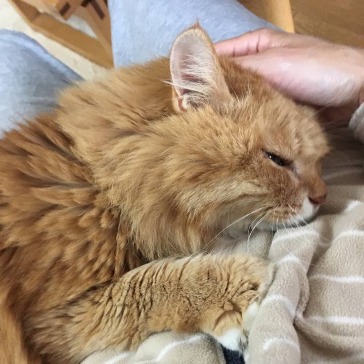 Ebbbb860 9d44 42e5 ba0d 76e9d54cd3c1 1539320750891