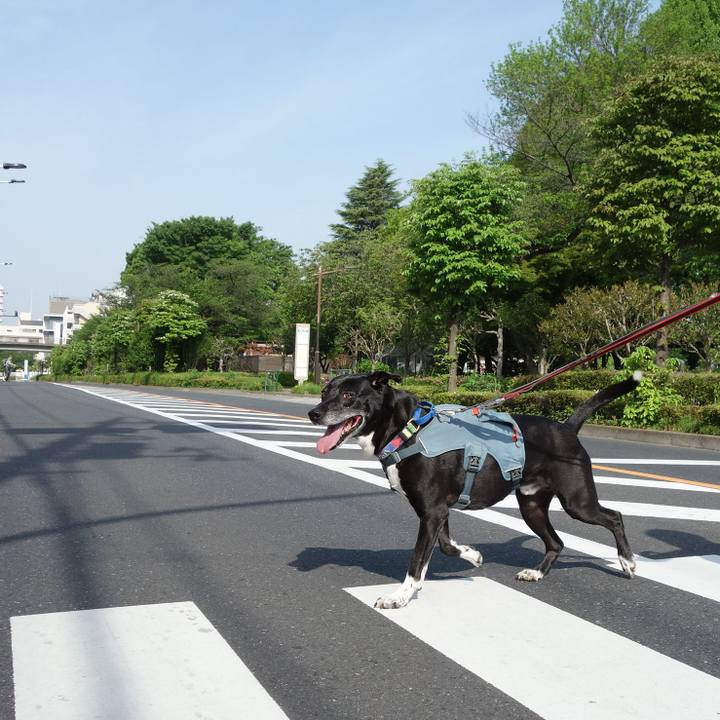 Ebbbcc27 e368 4793 b6de a00008ce6ada 1714355505986