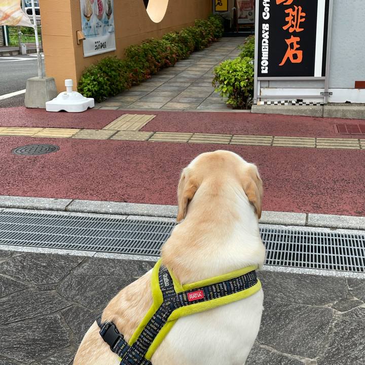 Ebbbd486 e0a7 42b9 b352 e14faed0e116 1632816153689