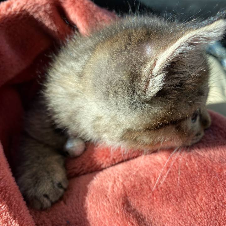 Ebbc0b79 6e6f 47e4 b4b4 76e64a60b562 1637640857827