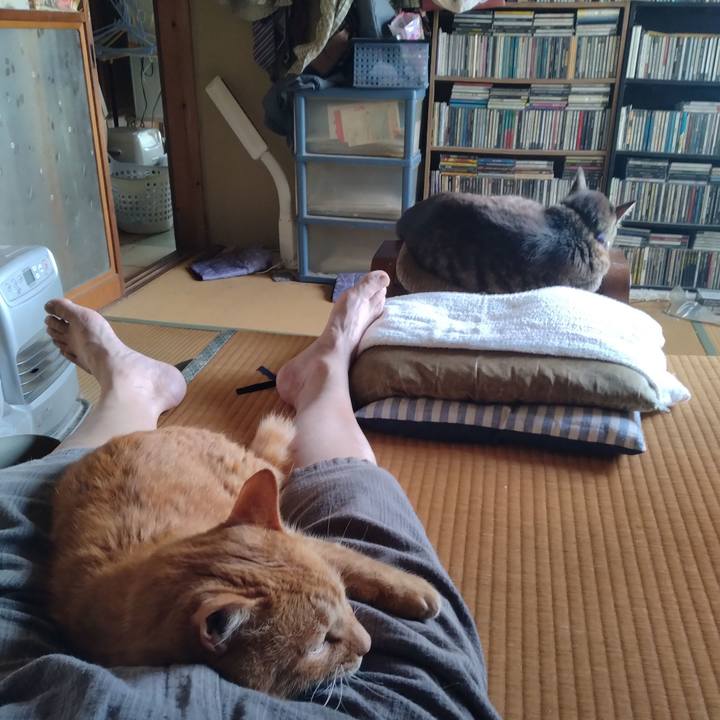 Ebbc1b9e 2eff 46eb 9c29 4805cf492730 1750306897538