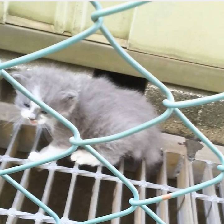 Ebbc4fbf 88a0 472d 9def 5e3d9d760ec8 1558263771970