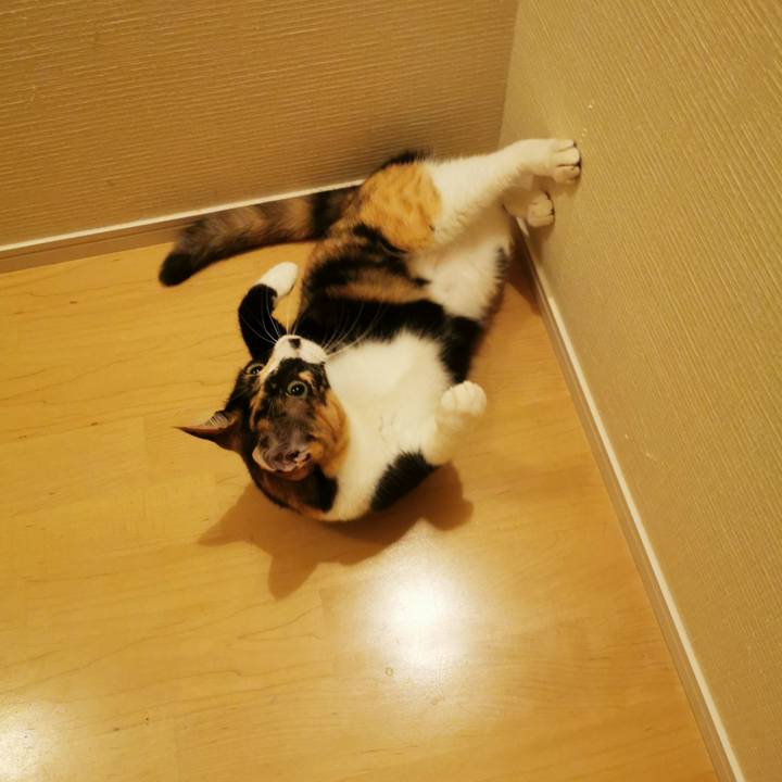 Ebbc5397 be35 4ac2 992f 5a0b3a7c6610 1664856991885