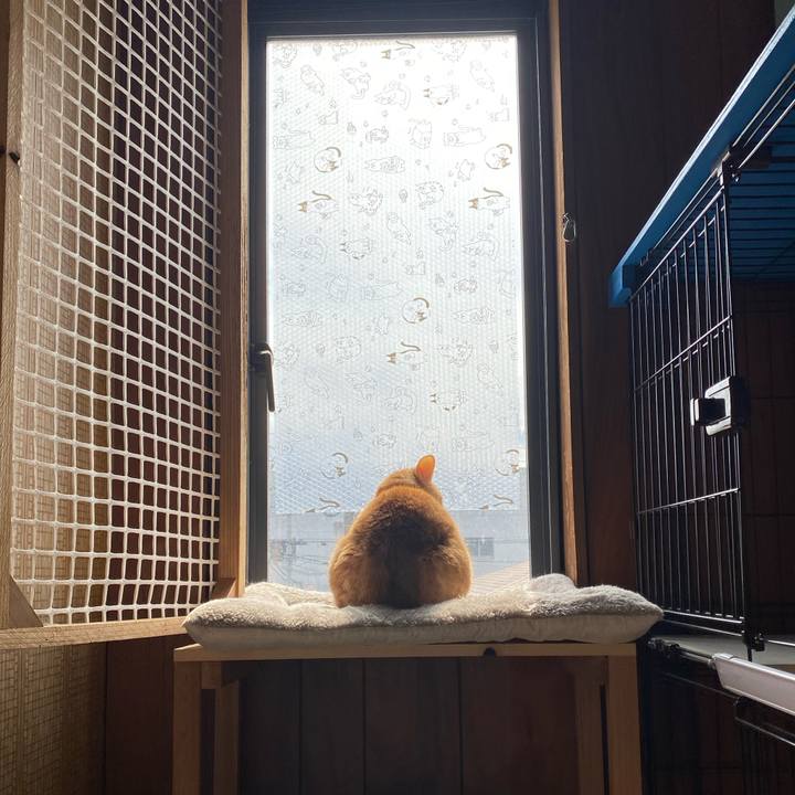 Ebbc6e08 871c 4181 8f6f 22e7ae0b3a39 1740109018007