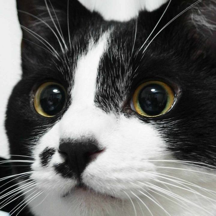 Ebbc9a90 0b00 4b8e 853c 53ca58a53378 1509199364534