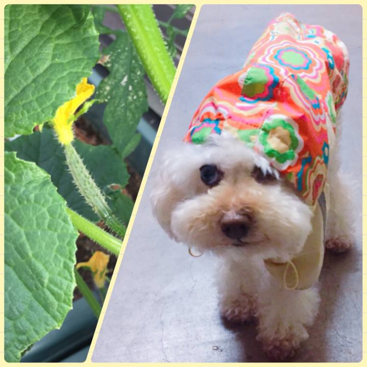 Ebbcbcfb 303d 402d ab86 b15da6c36b71 1527820863299