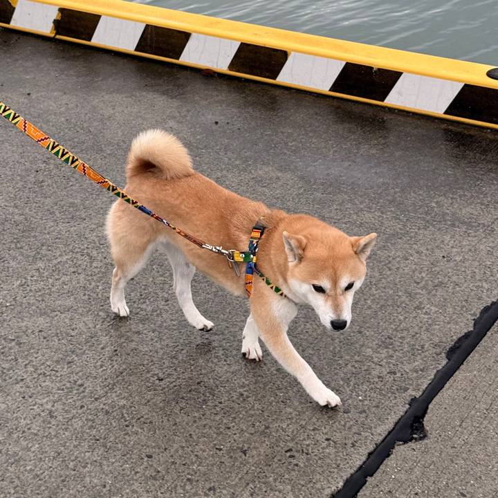 Ebbcd06a 949c 43a2 99ca 76a560fe15c5 1766728013894