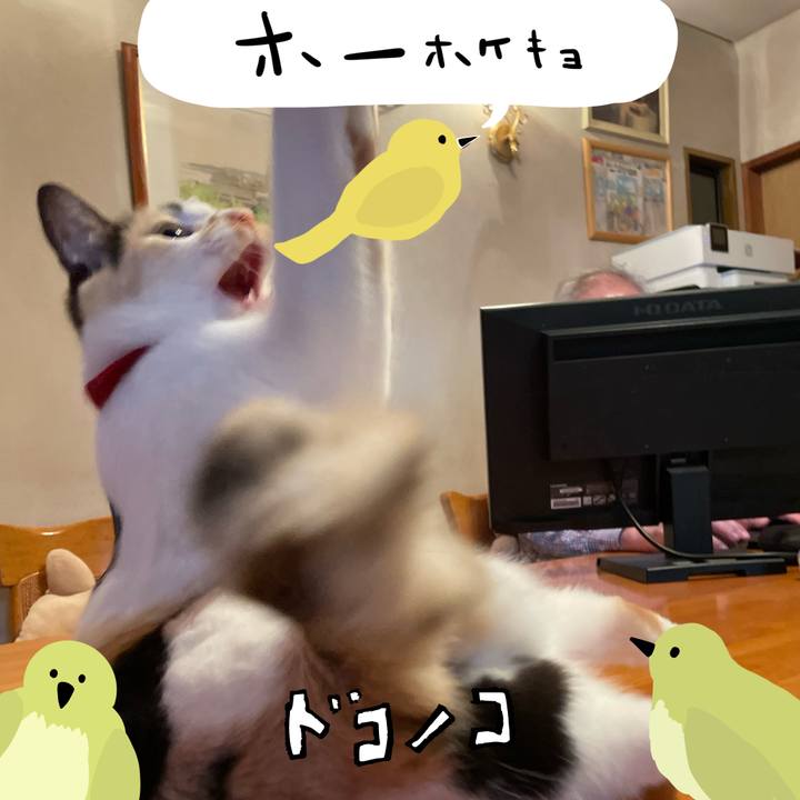 Ebbcd2ef 02c9 406a ae49 e9a80becee62 1711008173415