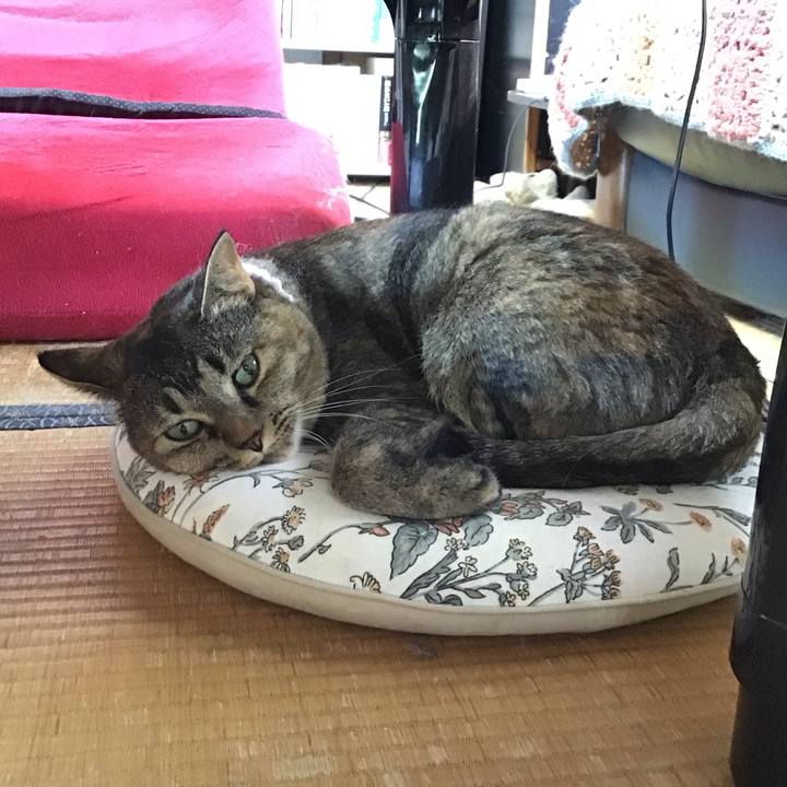 Ebbd3136 366a 4c22 b778 5c334187d803 1722506040385