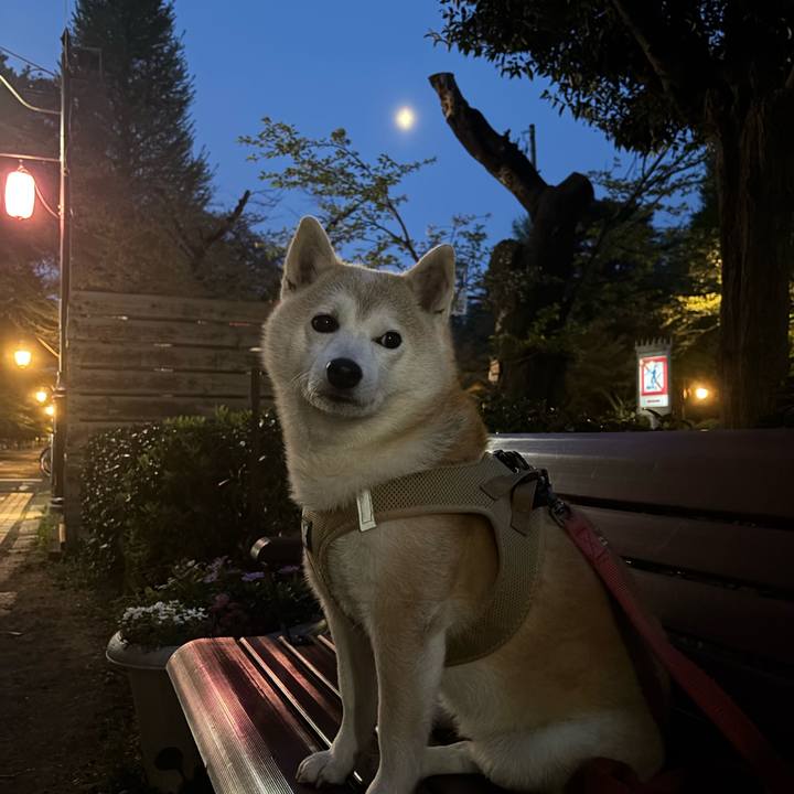 Ebbd39c0 271e 4685 b581 bc84262f92c1 1744919057858