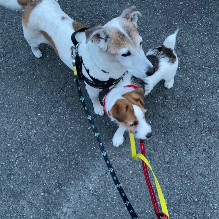 Ebbd6ef9 a2d6 4c27 828a 526f6f3335b0 1616893481433