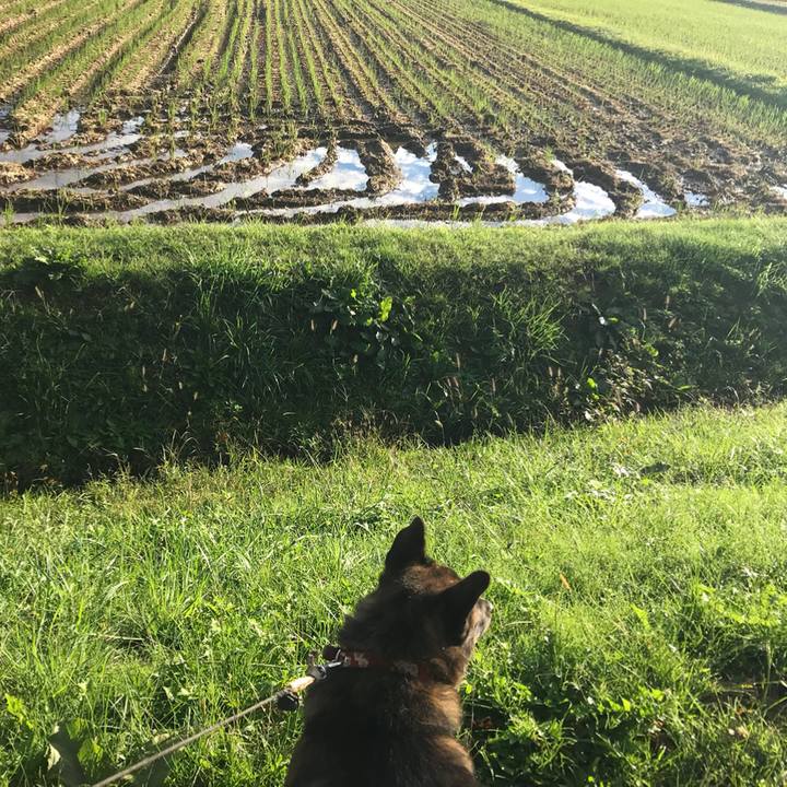 Ebbd85d9 686f 481c 83e1 43cddf7fc775 1538792326563