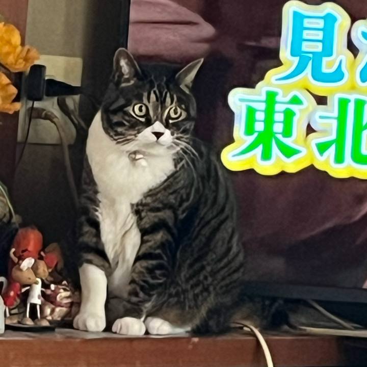 Ebbd86c7 606c 4b29 a6f0 95dd9666a675 1767403452089