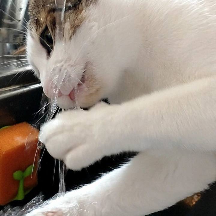 Ebbda2a4 7554 43e3 b40a f37400291b21 1763122995025