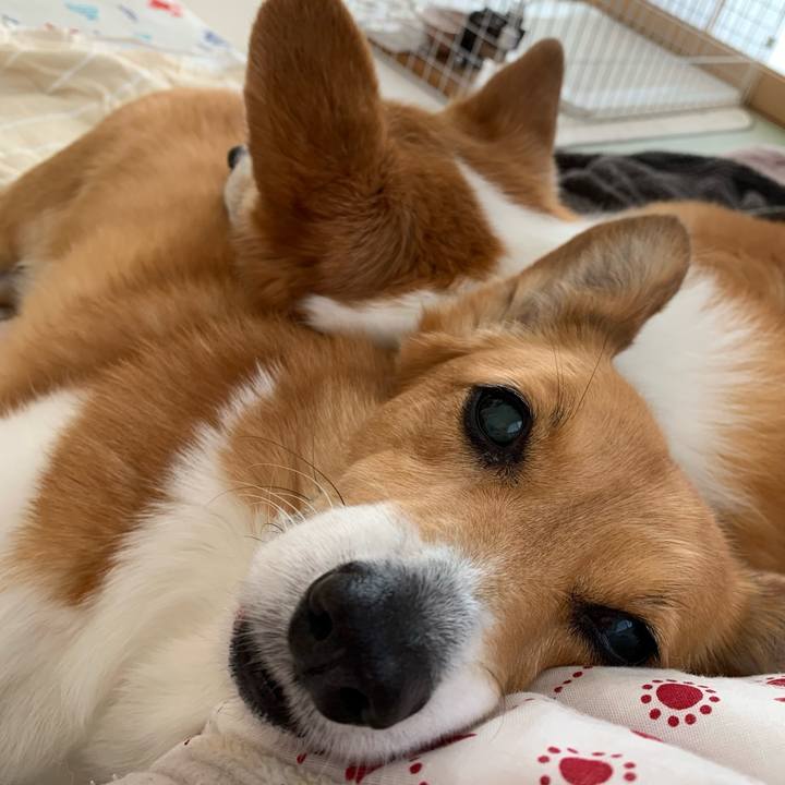 Ebbdaee8 9f69 442a 89f8 9738d47b68b4 1681608890926