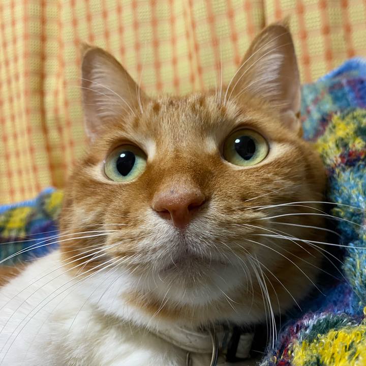 Ebbdebea 1eb8 4704 97d9 ab599d6f50bb 1644724598536