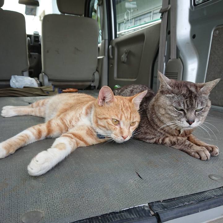 Ebbe10f8 63de 4800 ada3 d9ed07f1cd44 1563527108211